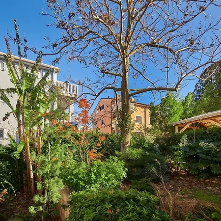 Igor Zambratija (Istria)