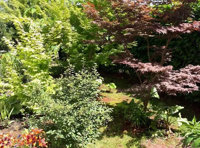 Lejlighed Igor Zambratija (Istria)